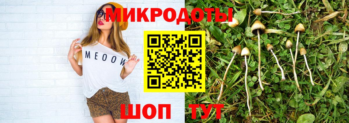 Галлюциногенные грибы Cubensis  Вход с VPN  Буйнакск  Псилоцибиновые грибы GOLDEN TEACHER 